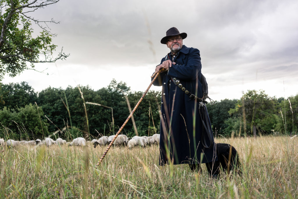Shepherd and his dog watching the flock of sheep