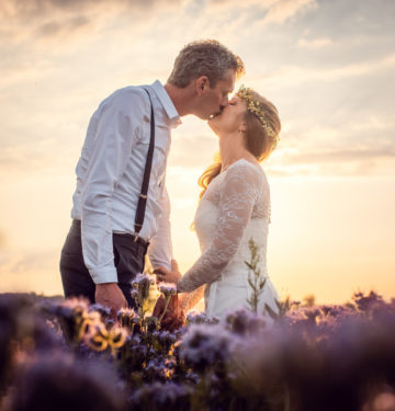 Wedding couple kissing in a field of violet stuff I have no name for